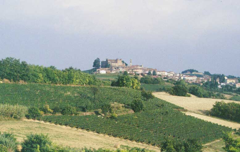 Veduta del paesaggio collinare di Montemagno (AT)