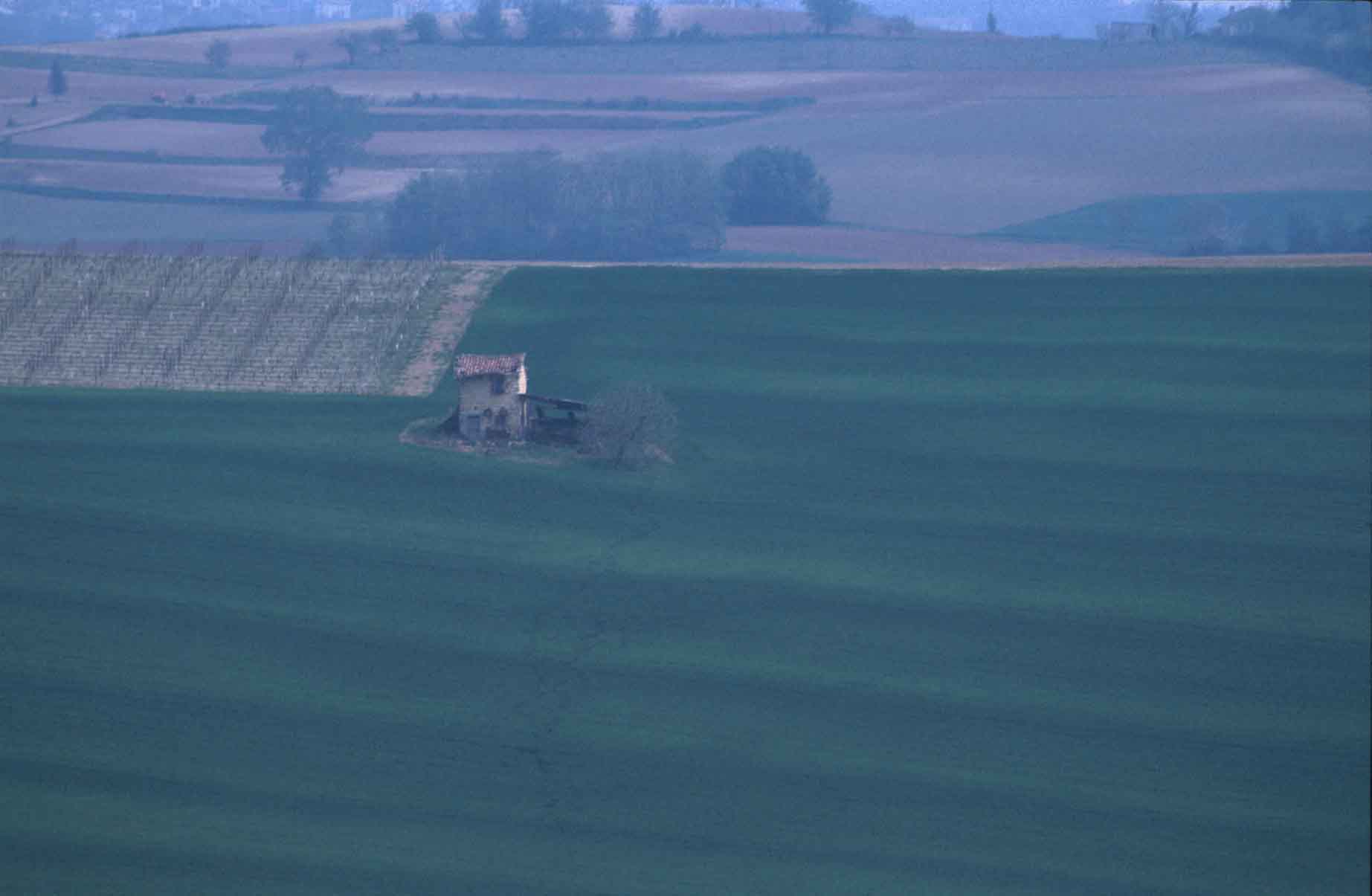 Paesaggio collinare a Casorzo (AT)