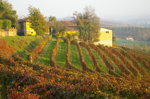 Foto del Comune di Agliano Terme (AT)