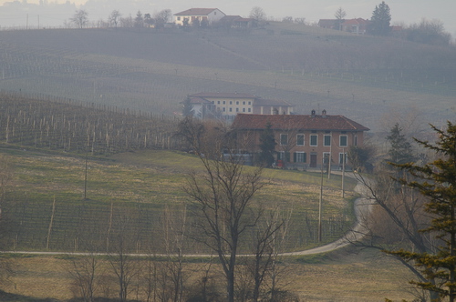 Foto del Comune di Calosso (AT)