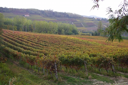 Foto del Comune di Castel Boglione (AT)