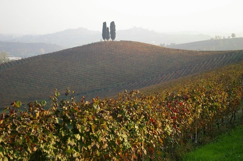 Foto del Comune di Castelnuovo Calcea (AT)