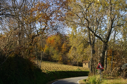 Foto del Comune di Rocchetta Palafea (AT)