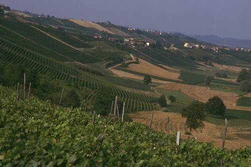 Foto del Comune di San Martino Alfieri (AT)