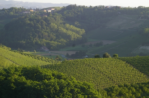 Foto del Comune di Vinchio (AT)