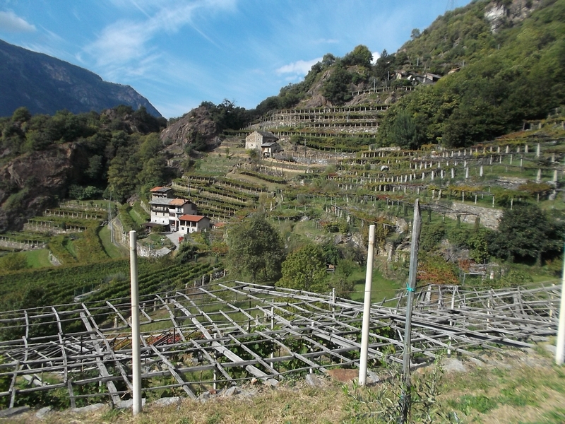 Foto del Comune di Settimo Vittone (TO)