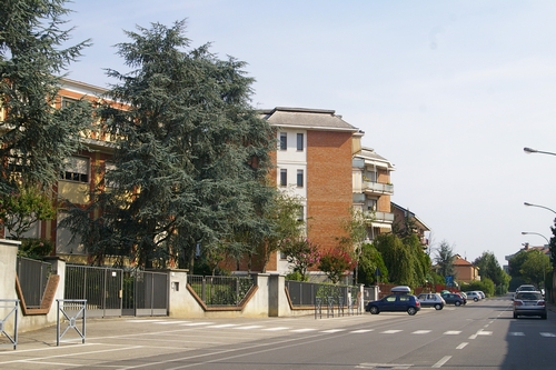 Via Conte verde ad Asti