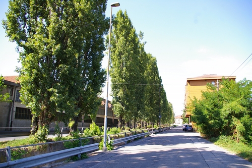 Via Palestro ad Asti
