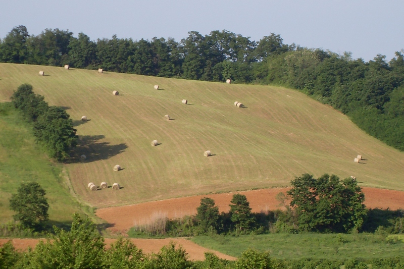 Foto del Comune di Fubine (AL)