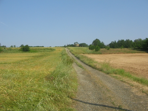 Foto del Comune di Masio (AL)