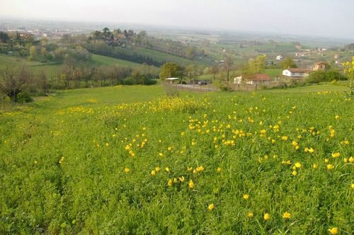 Foto del Comune di Sarezzano (AL)