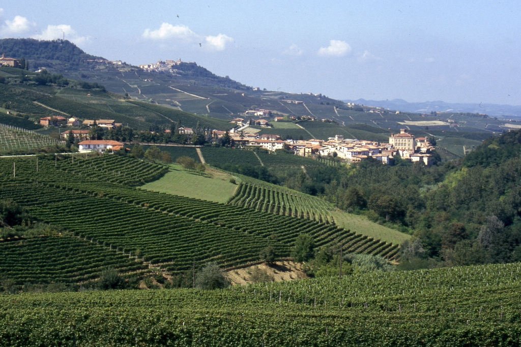 Foto del Comune di Barolo (CN)