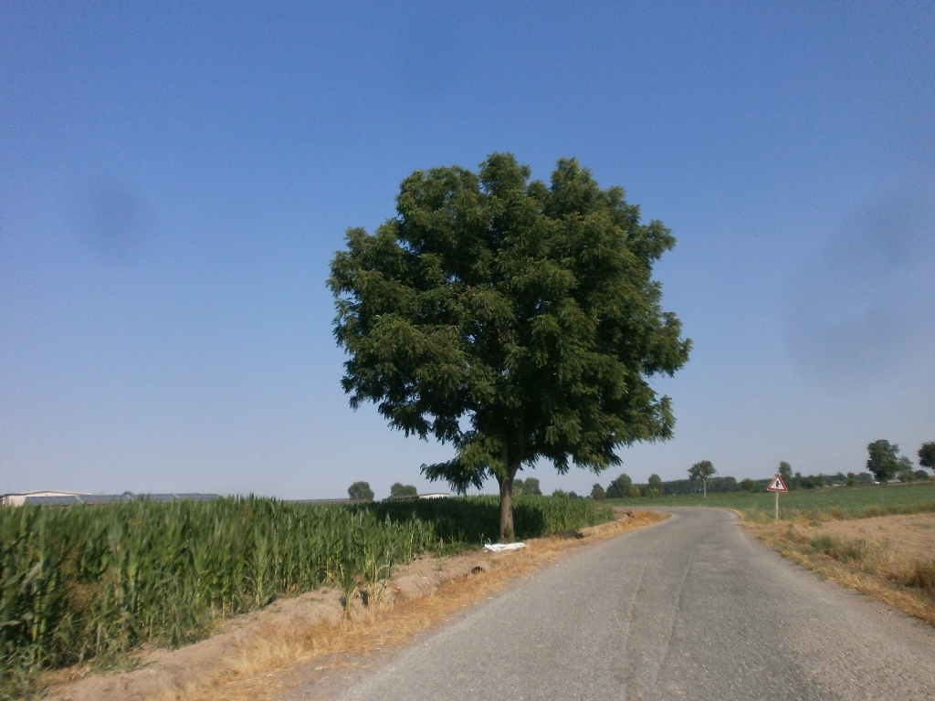 Foto del Comune di Murello (CN)