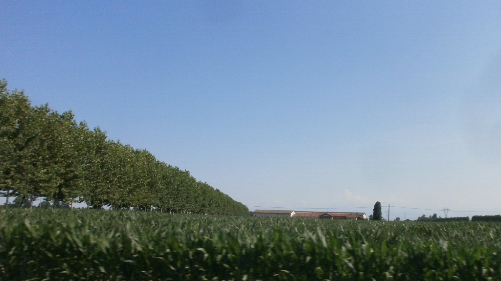 Foto del Comune di Savigliano (CN)