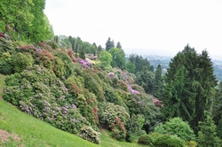 Veduta del Parco della Burcina in Provincia di Biella
