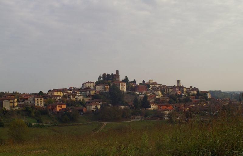 Veduta del paese di Castelnuovo Don Bosco e del pregevole paesaggio agrario circostante.