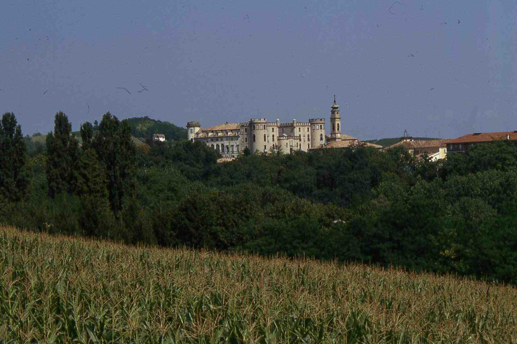 Veduta del Castello di Costigliole d'Asti (AT)