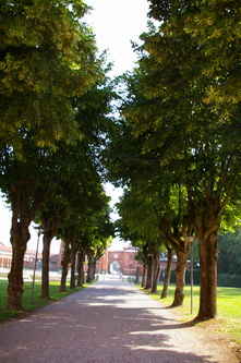 Veduta della Tenuta di Pollenzo, sede dell'Università degli Studi di Scienze Gastronomiche.