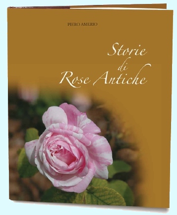 Copertina del Libro di Piero Amerio su "Storie di Rose Antiche".