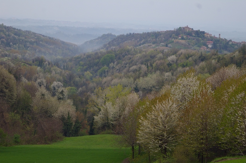 Veduta dello straordinario paesaggio della Vallata di Muscandia.