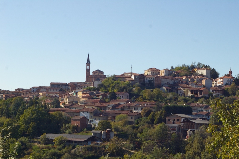 Veduta d insieme dell abitato di Tonco, sede preso Villa Toso della Manifestazione "Fiori di Campo" e della presentazione del Volume "Monferrato Splendido Patrimonio" a cura di Lorenzo Fornaca.