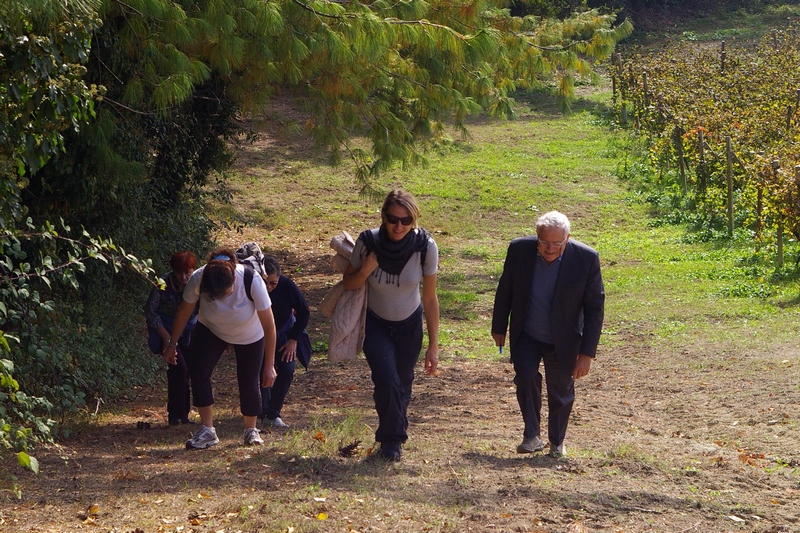 Risalita del gruppo di camminatori, guidati dal Prof. Dario Rei, verso la Canonica di Santa Maria di Vezzolano.