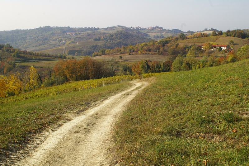 Veduta dello straordinario paesaggio agrario dell Alto Astigiano.