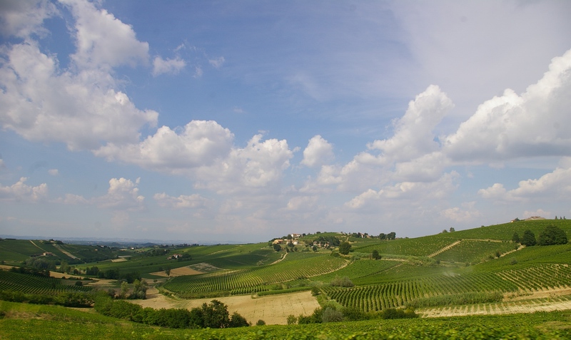 Paesaggi viticoli del Piemonte, candidati alla World heritage List dell UNESCO.