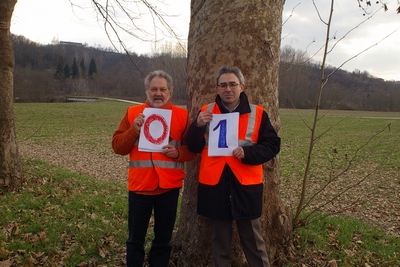 censimento fotografico degli alberi presenti lungo l ex strada statale SS 10 nel comune di Baldichieri.   