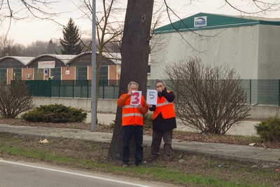 censimento fotografico degli alberi presenti lungo l ex strada statale SS 10 nel comune di Baldichieri.   