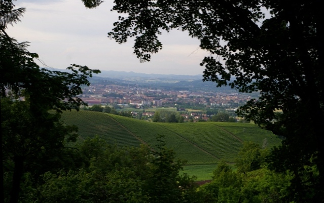 Veduta dello straordinario paesaggio agrario di San Marzanotto e sullo sfondo la Città di Asti.