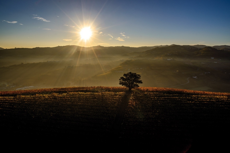 Veduta aerea degli straordinari paesaggi viticoli di Langhe, Monferrato e Roero negli scatti artistici del fotografo Fabio Polosa.