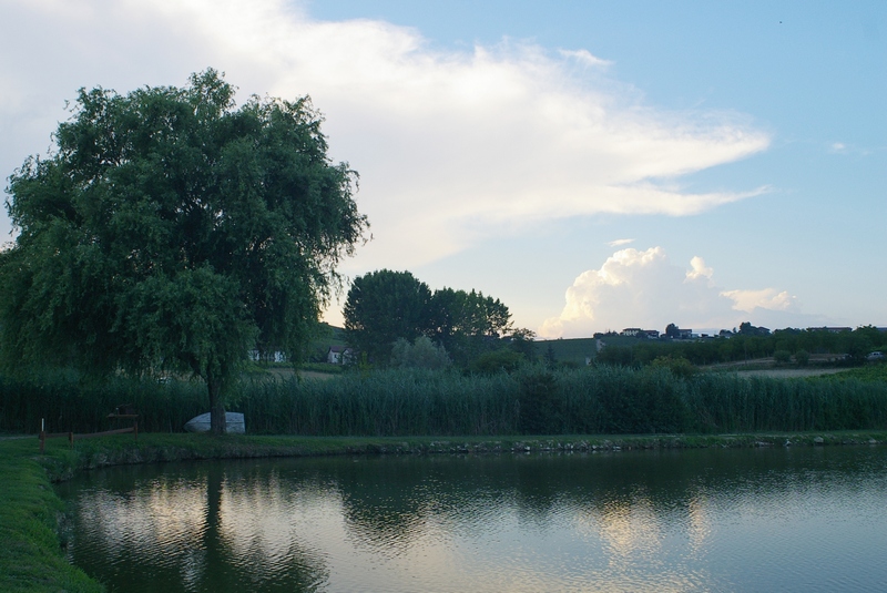 Veduta del Laghetto di Sant Agnese in Località Paludo.