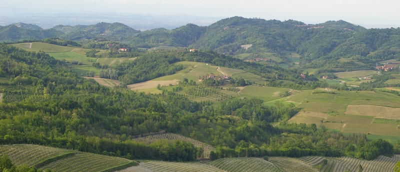 Veduta dello straordinario paesaggio agrario dell Alto Astigiano.