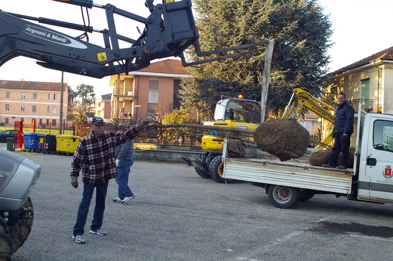 Caricamento degli alberi dal piazzale delle Scuole di Villanova d Asti, grazie all aiuto degli Alpini di Villanova e del Comune, sino alla pista ciclabile per la loro messa a dimora.