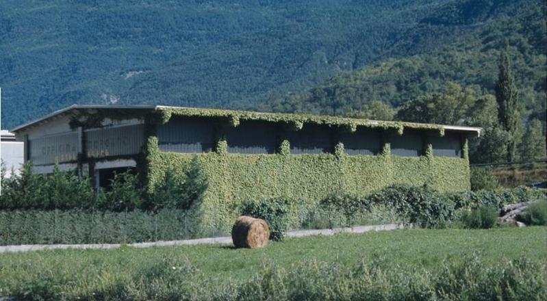 Interessante esempio di impiego del verde parietale per l inserimento di un capannone prefabbricato nel paesaggio agrario circostante.