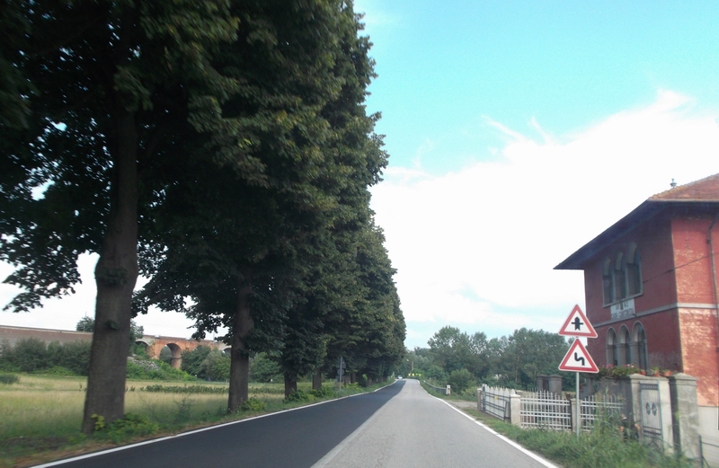 Veduta del viale albertato di tigli lungo la ex SS 10 (Padana inferiore) nel tratto compreso tra i comuni di Dusino San Michele e Villafranca d Asti.