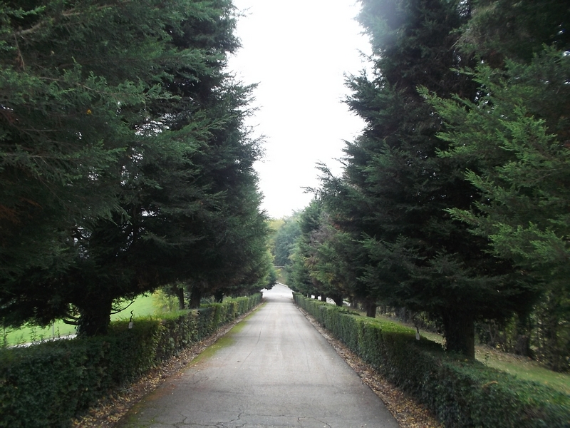 Veduta del Viale di Cipressi della Rimembranza del Cimitero di Cioccaro nel Comune di Penango (AT).