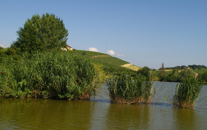 Veduta dell area umida del Paludo di eccezionale interesse naturalistico ed agrario, trovandosi nella Buffer Zone dell UNESCO.