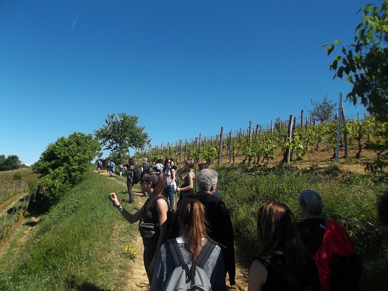 Camminata con gli studenti e le insegnanti del Liceo Cottini di Torino lungo i sentieri nella campagna tra  Castelnuovo Don Bosco ed Albugnano per conoscere le peculiarità del paesaggio agrario e naturale dell Alto Astigiano.