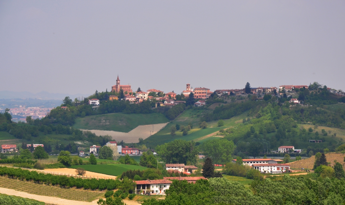 Veduta dello straordinario paesaggio agrario di Isola d Asti, sede presso la Sala consigliare del Municipio della riunione per la riattivazione della Linea ferroviaria Asti-Alba [Foto di Osvaldo Ferrero].