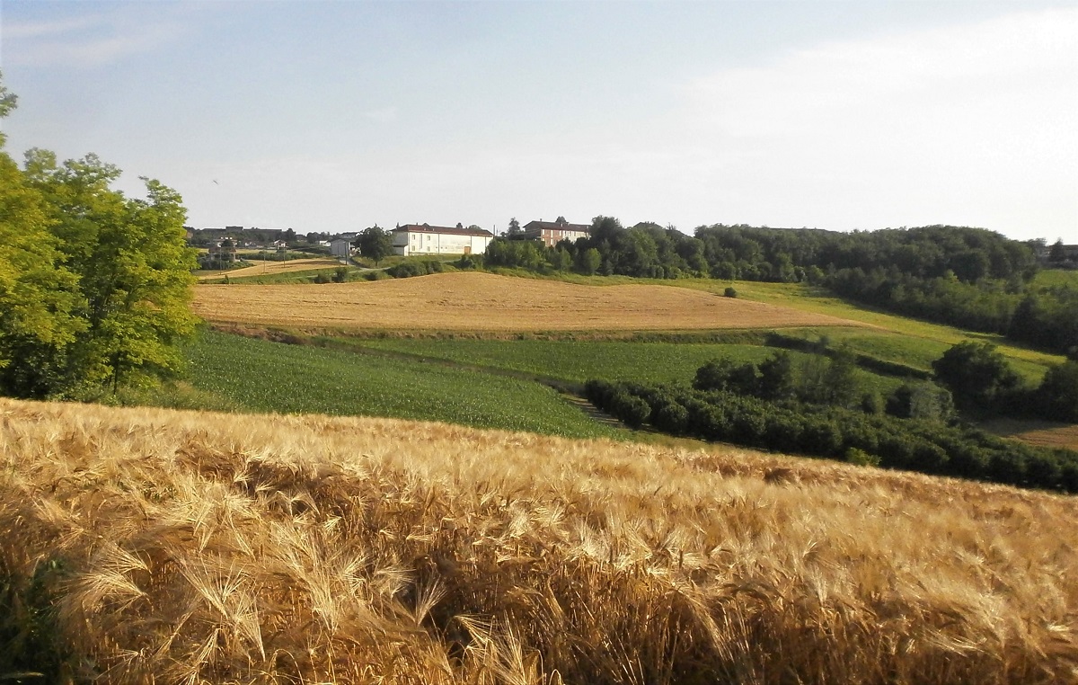 Veduta dello straordinario paesaggio agrario di Antignano nel sud dell Astigiano.