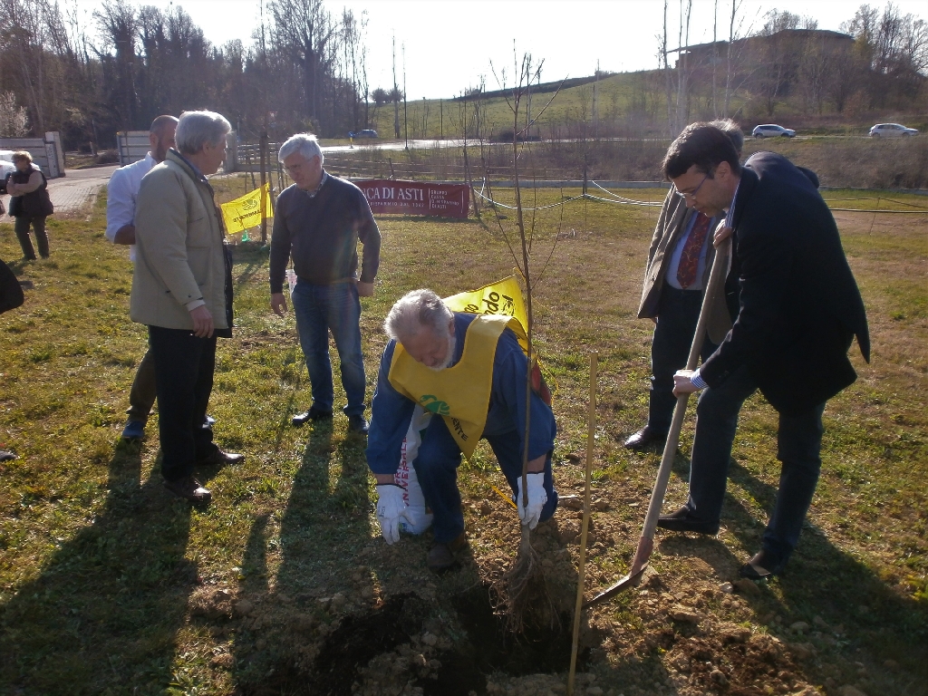 Messa a dimora di un nuovo albero nel Parco della salute dell Ospedale Cardinal Massaia da parte del Commissario Giovanni Messori Ioli dell ASL di Asti.