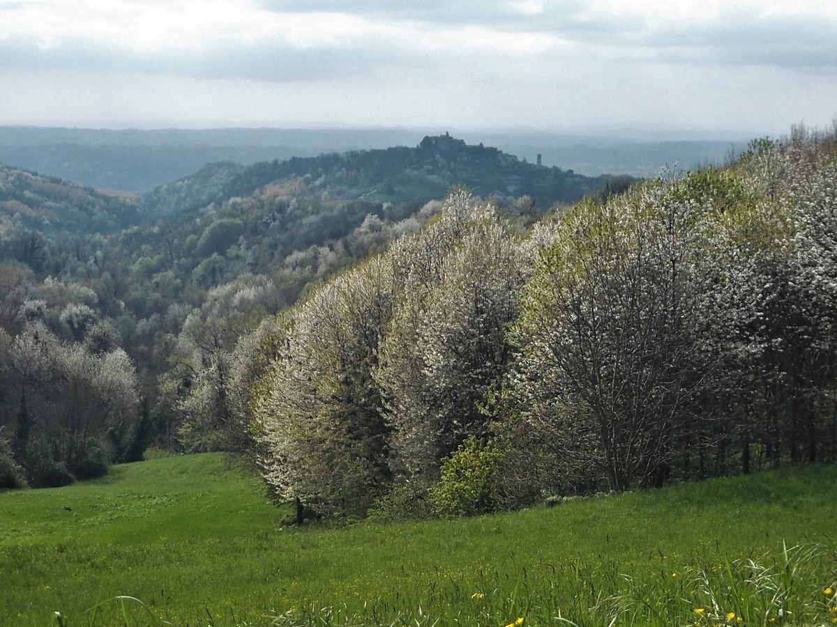 Veduta del magnifico paesaggio della vallata di Muscandia tra Albugnano, Pino d Asti e Passerano Marmorito.