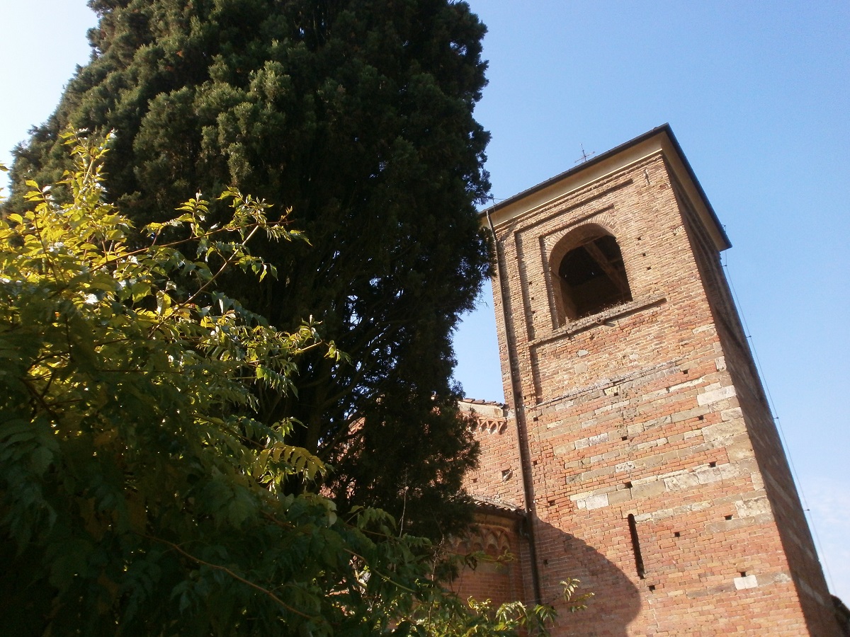 Veduta tra la vegetazione arborea della Canonica di Santa Maria di Vezzolano.