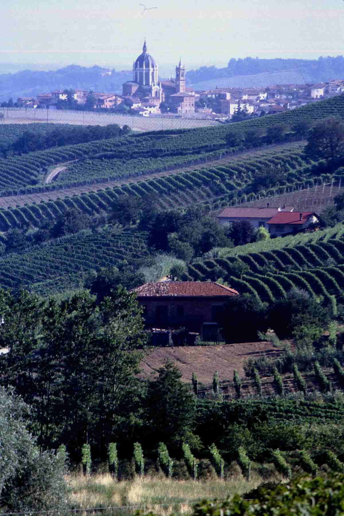 Veduta dell'abitato di Fontanile (AT) immerso in uno straordinario paesaggio viticolo