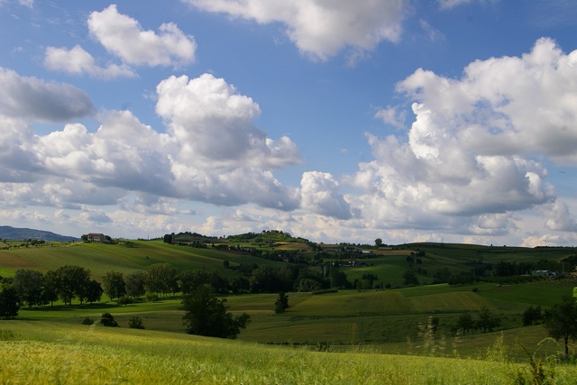 Veduta del paesaggio agrario di San Desiderio di Calliano, ove si è tenuta la prima Assemblea generale dell'Osservatorio del Paesaggio dopo la sua costituzione nell'anno 2003.