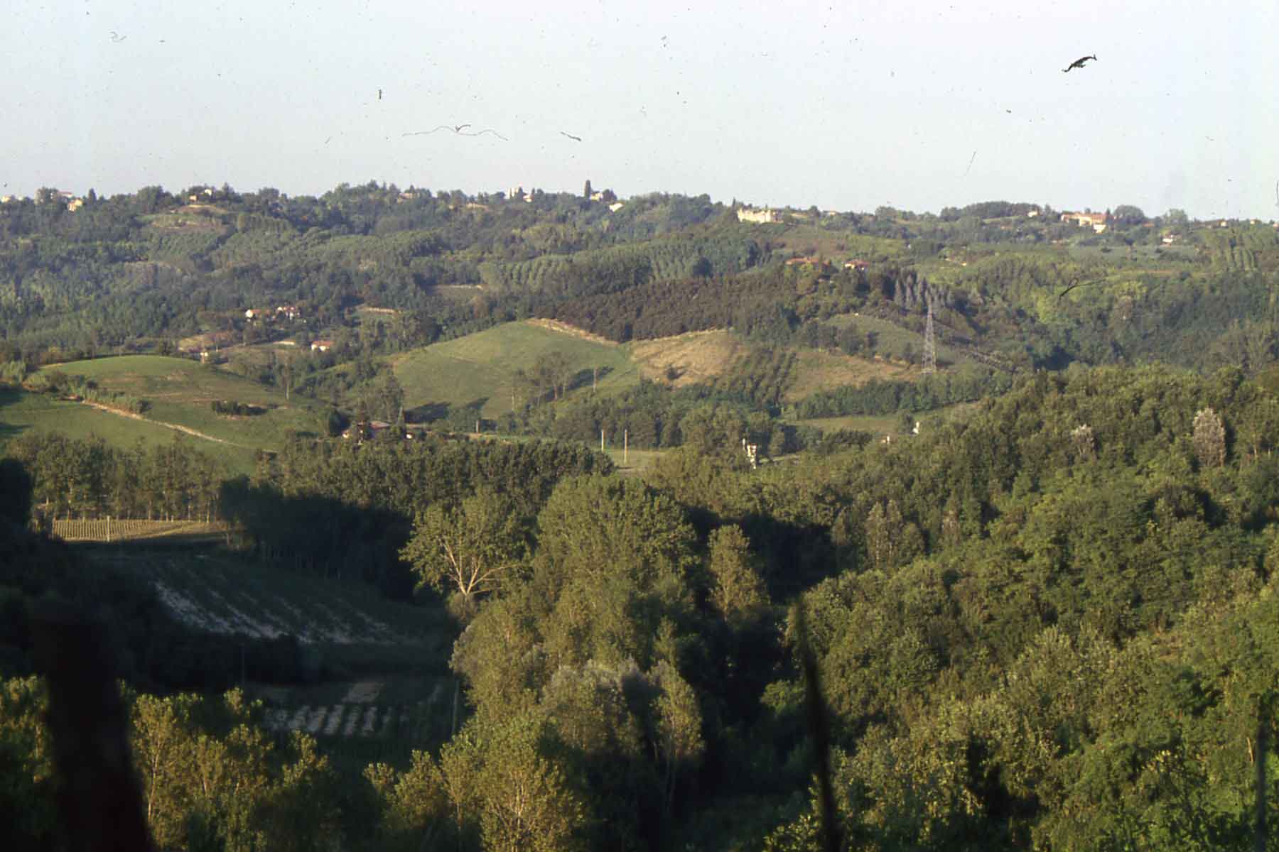 Veduta dei Bosci di Settime d'Asti