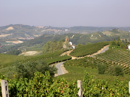 Veduta del paesaggio di Alice bel colle