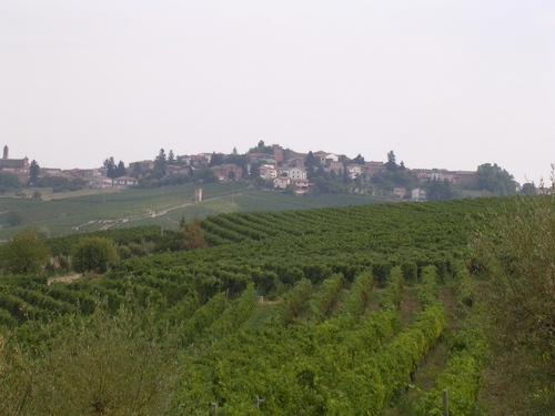 Veduta del paesaggio di Alice bel colle